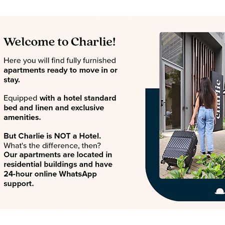Charlie Vitrali Moema Apartment Сао Паоло Екстериор снимка